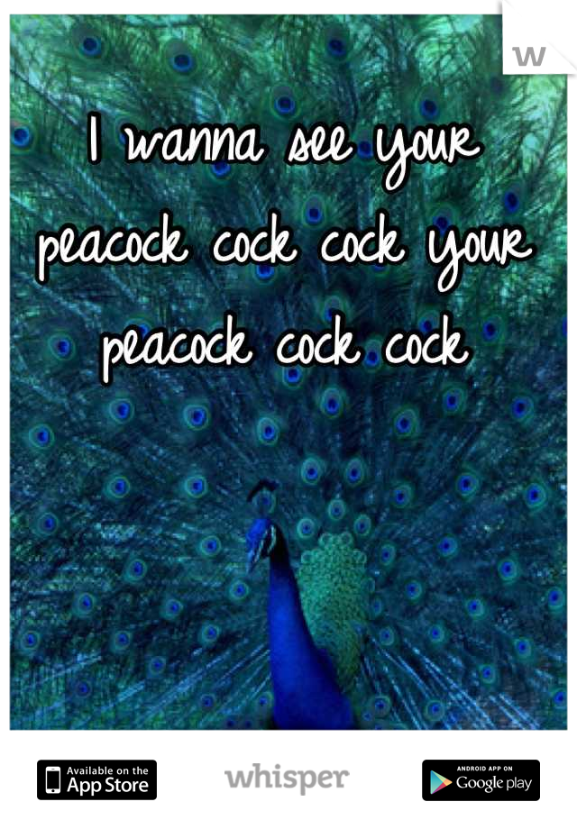 I wanna see your peacock cock cock your peacock cock cock