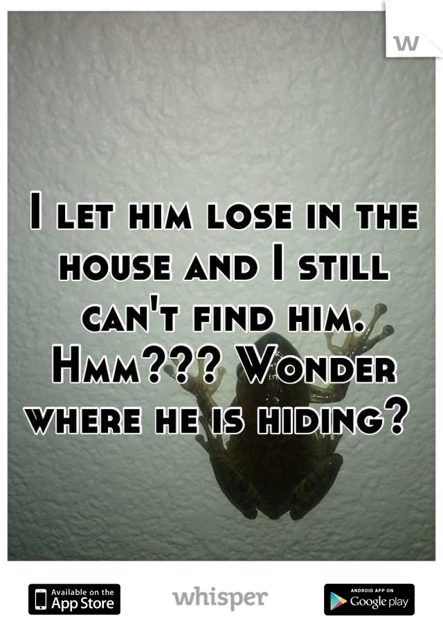 I let him lose in the house and I still can't find him. Hmm??? Wonder where he is hiding? 