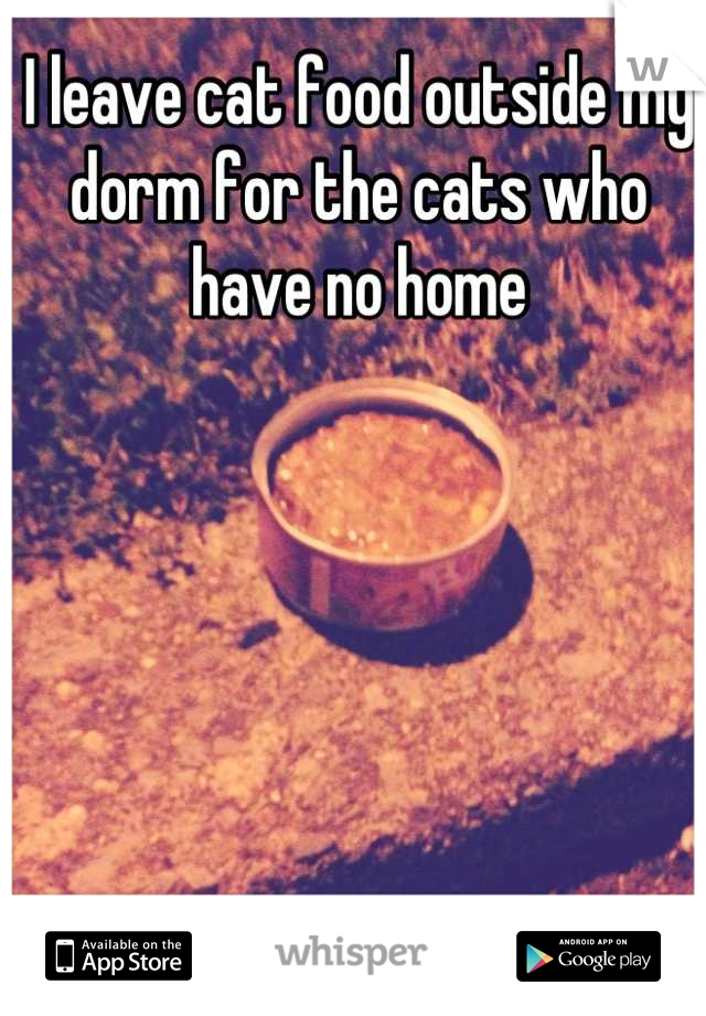 I leave cat food outside my dorm for the cats who have no home