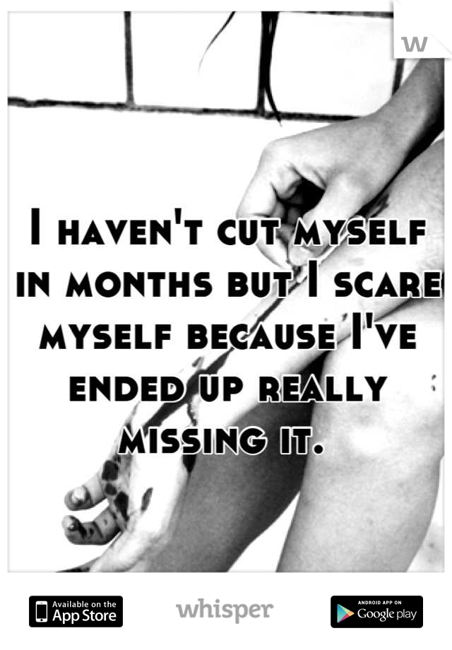 I haven't cut myself in months but I scare myself because I've ended up really missing it. 
