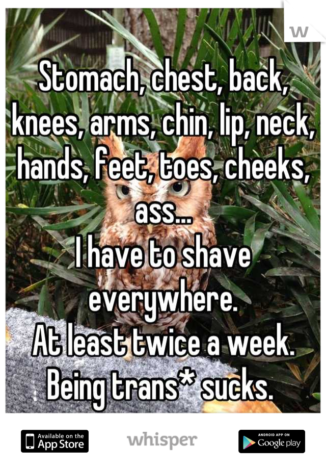 Stomach, chest, back, knees, arms, chin, lip, neck, hands, feet, toes, cheeks, ass…
I have to shave everywhere. 
At least twice a week.
Being trans* sucks. 