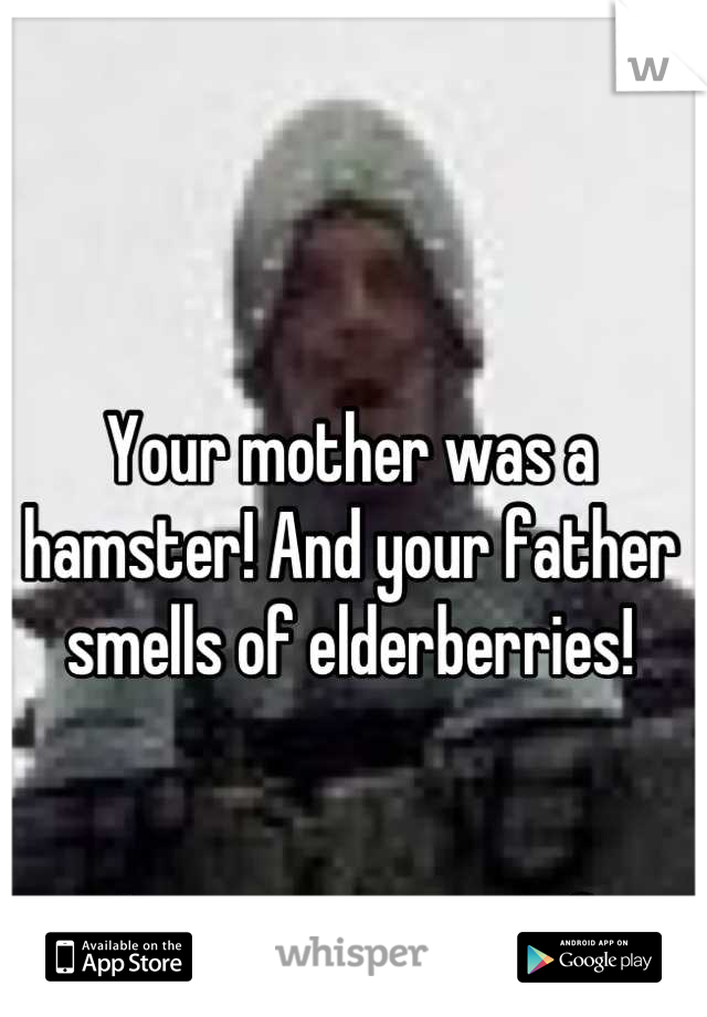 Your mother was a hamster! And your father smells of elderberries!


Are you crying yet?