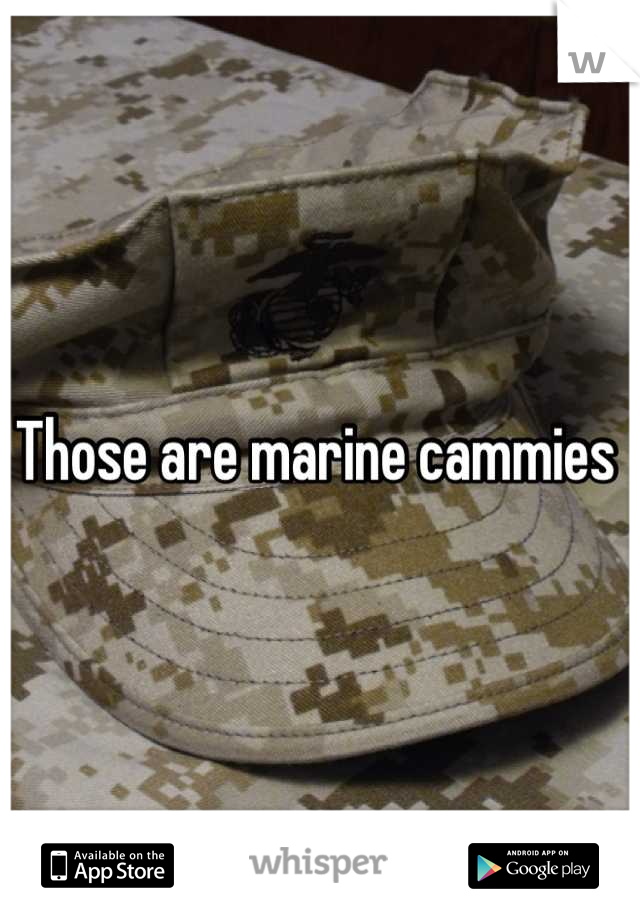 Those are marine cammies 