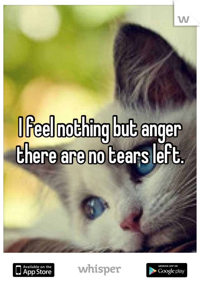 I feel nothing but anger there are no tears left.