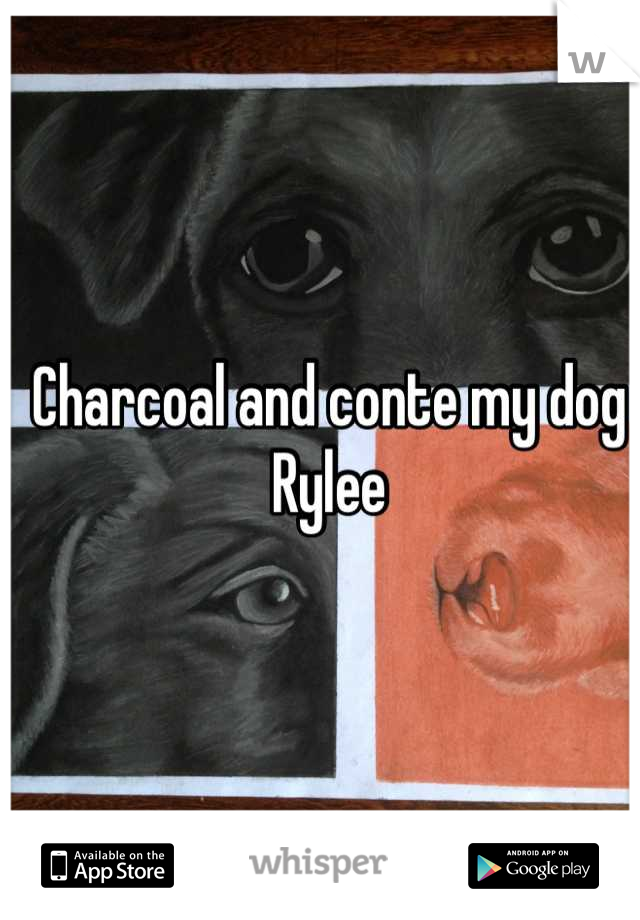 Charcoal and conte my dog Rylee