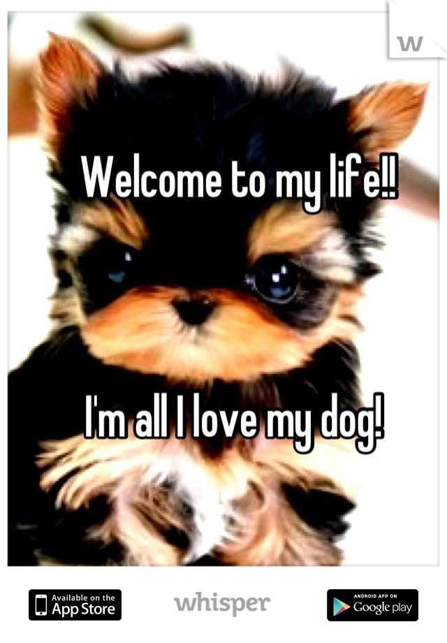 Welcome to my life!!



I'm all I love my dog! 