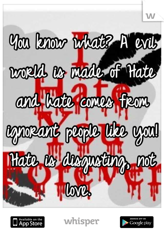 You know what? A evil world is made of Hate and hate comes from ignorant people like you! Hate is disgusting, not love. 