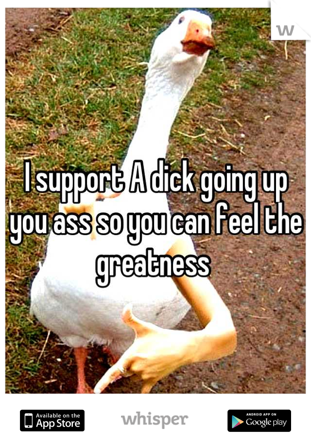 I support A dick going up you ass so you can feel the greatness 