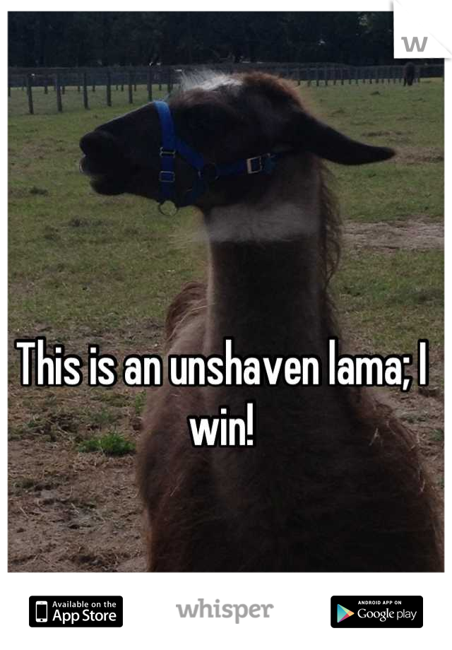 This is an unshaven lama; I win!