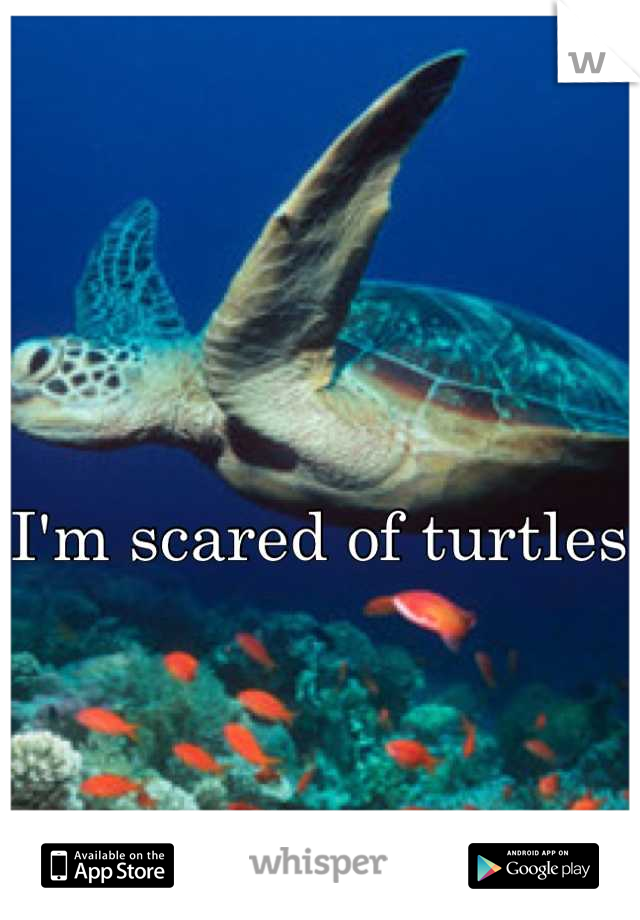 I'm scared of turtles 