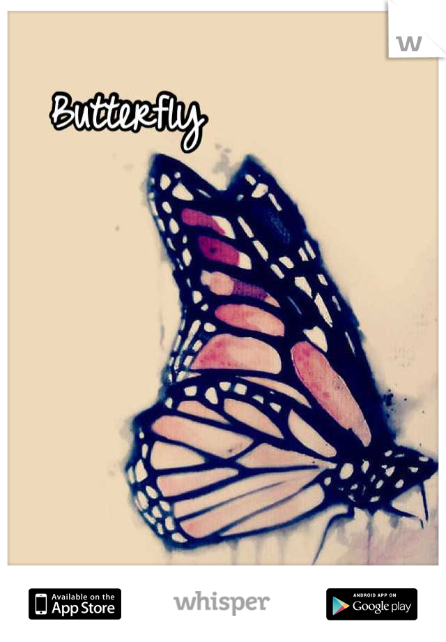 Butterfly 