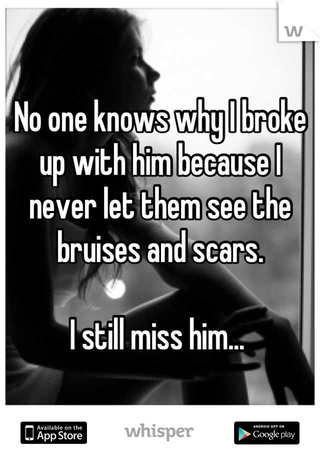 No one knows why I broke up with him because I never let them see the bruises and scars. 

I still miss him... 