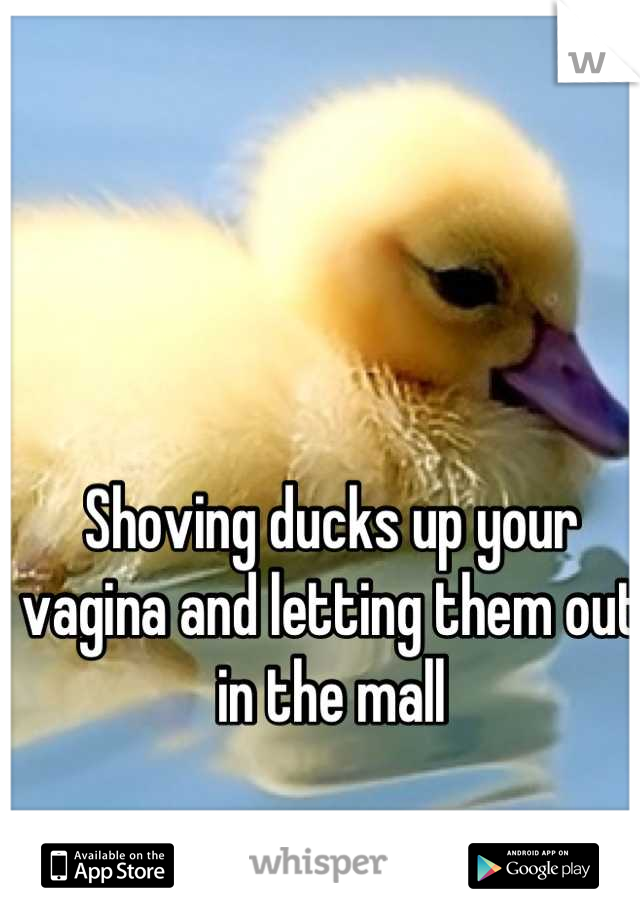 Shoving ducks up your vagina and letting them out in the mall