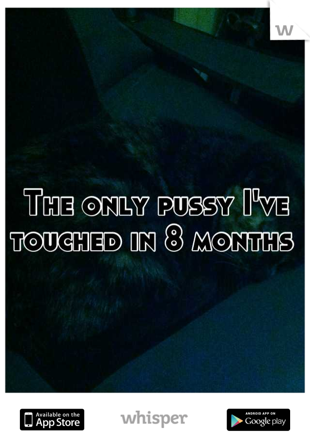 The only pussy I've touched in 8 months 