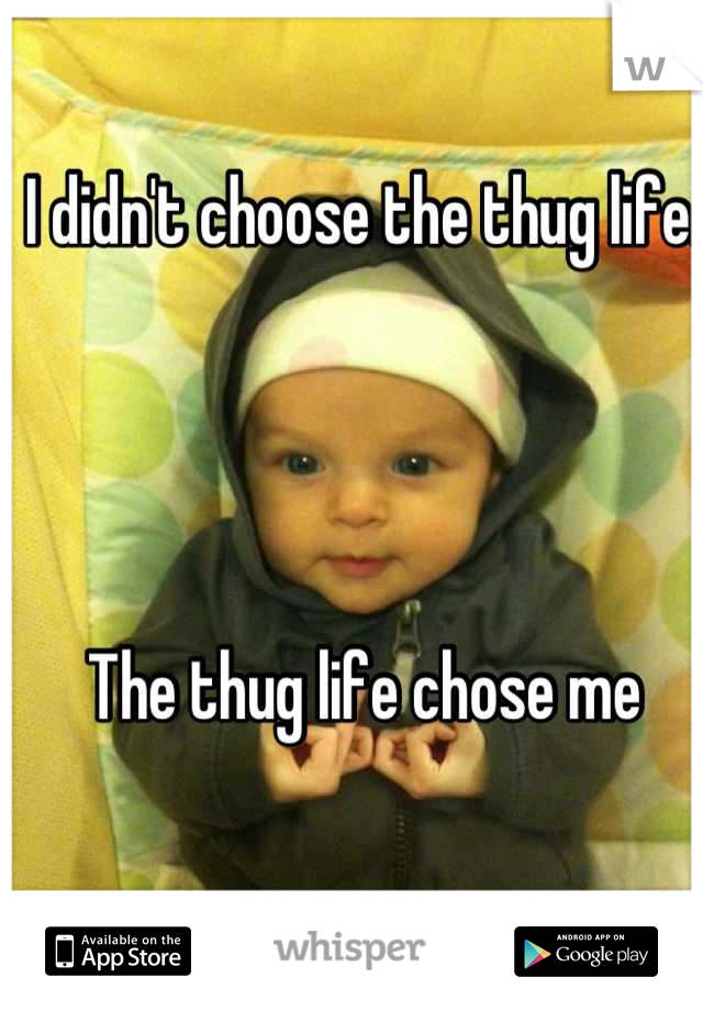 I didn't choose the thug life. 




The thug life chose me