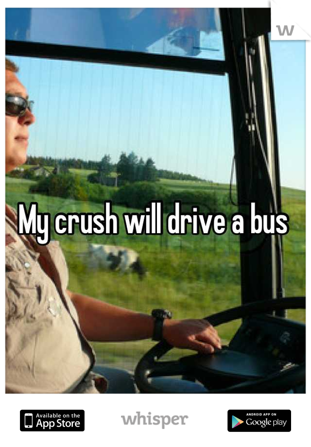 My crush will drive a bus 