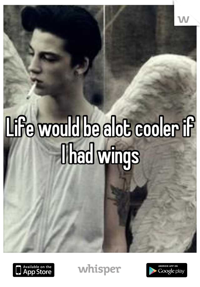 Life would be alot cooler if I had wings