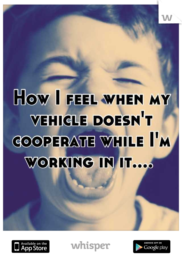 How I feel when my vehicle doesn't cooperate while I'm working in it.... 