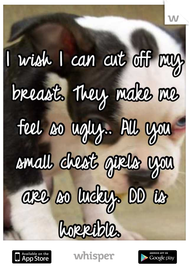 I wish I can cut off my breast. They make me feel so ugly.. All you small chest girls you are so lucky. DD is horrible. 