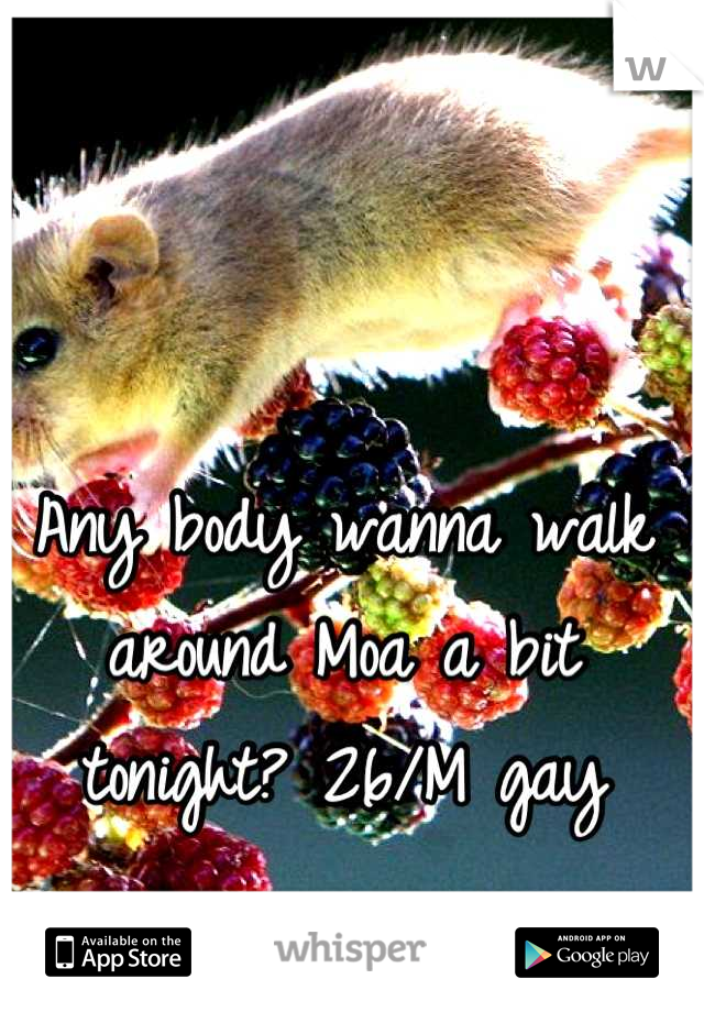 Any body wanna walk around Moa a bit tonight? 26/M gay