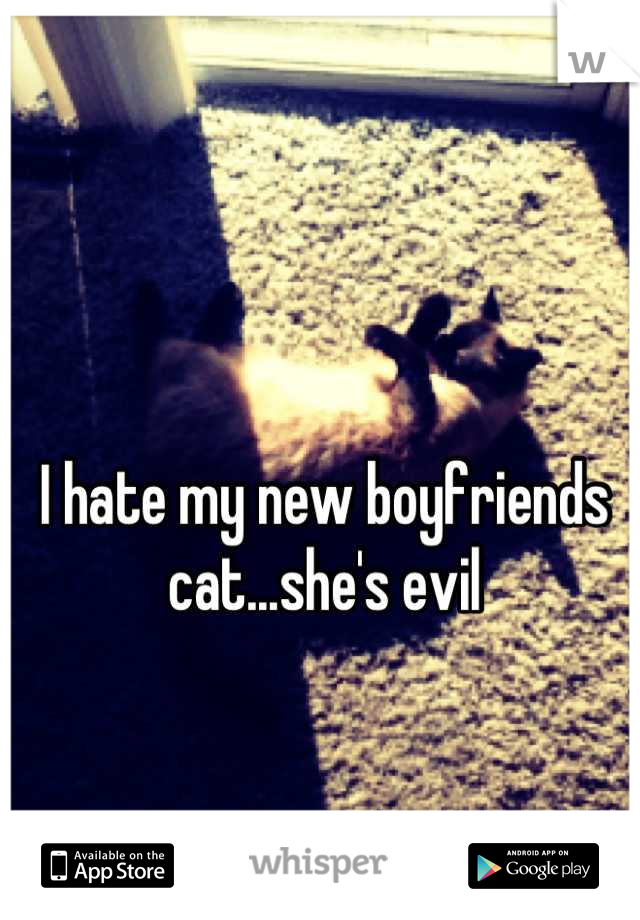 I hate my new boyfriends cat...she's evil