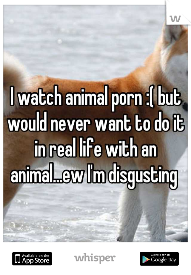 I watch animal porn :( but would never want to do it in real life with an animal...ew I'm disgusting 