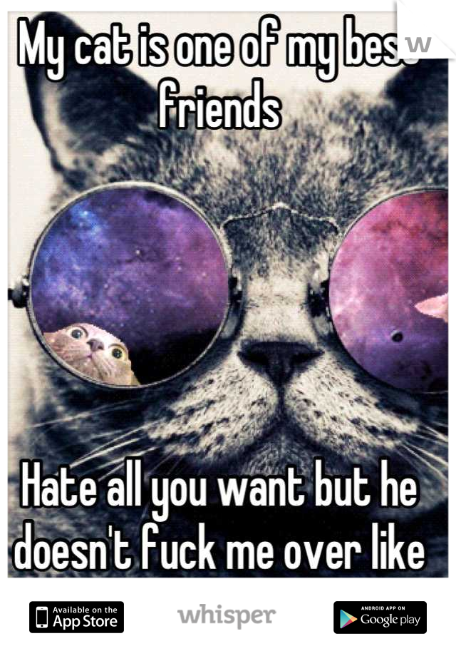 My cat is one of my best friends 





Hate all you want but he doesn't fuck me over like 99% of the human population 