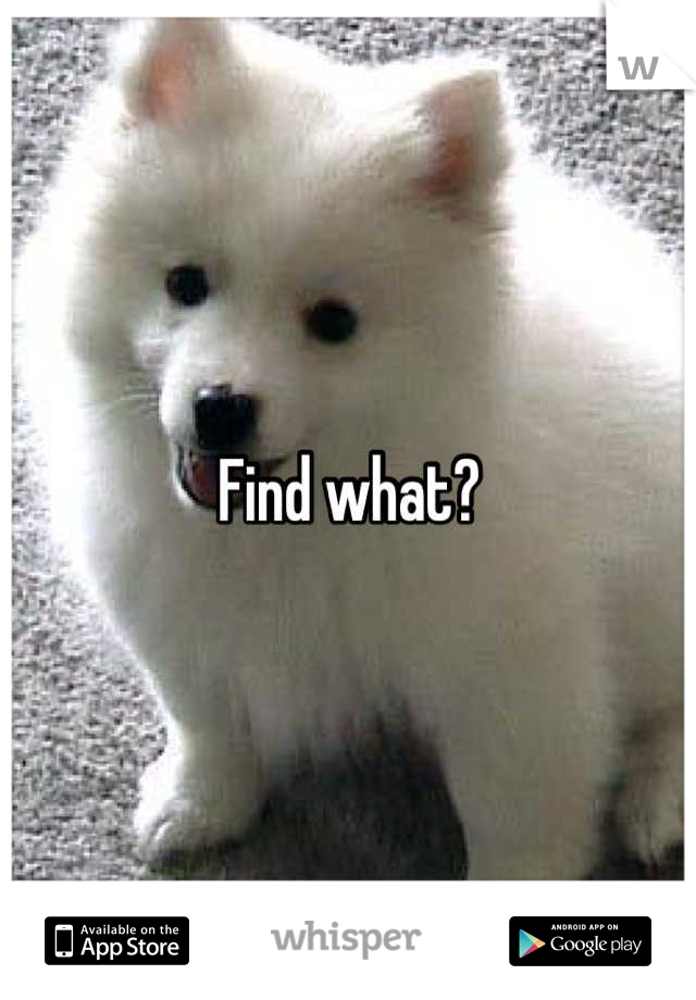 Find what?