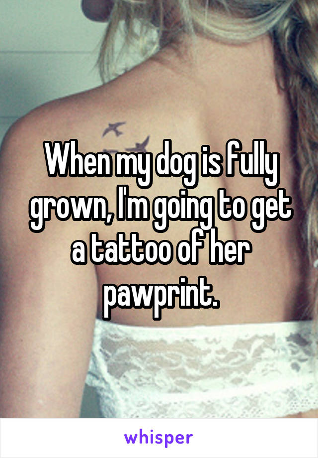 When my dog is fully grown, I'm going to get a tattoo of her pawprint.