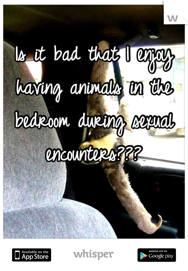 Is it bad that I enjoy having animals in the bedroom during sexual encounters???