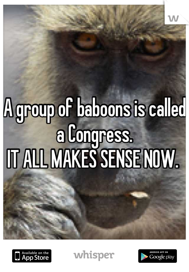 A group of baboons is called a Congress. 
IT ALL MAKES SENSE NOW. 