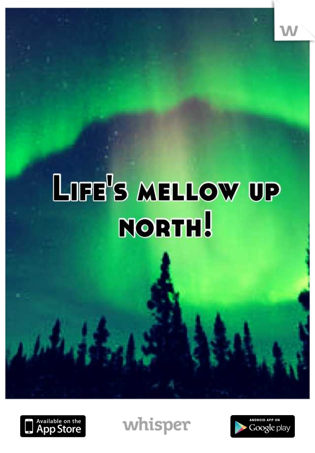 Life's mellow up north!