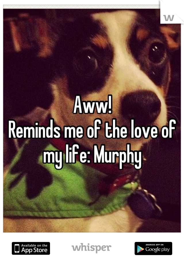 Aww!
Reminds me of the love of my life: Murphy