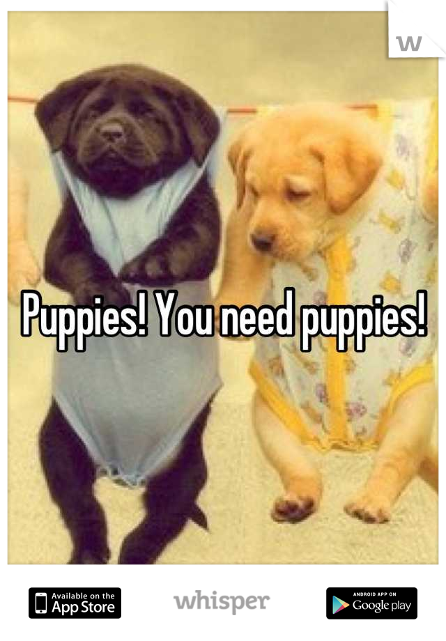 Puppies! You need puppies!