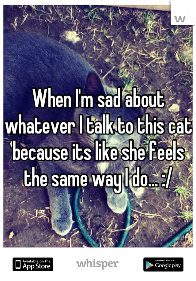 When I'm sad about whatever I talk to this cat because its like she feels the same way I do... :/