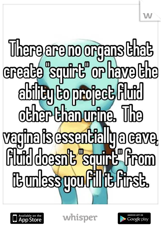 There are no organs that create "squirt" or have the ability to project fluid other than urine.  The vagina is essentially a cave, fluid doesn't "squirt" from it unless you fill it first.