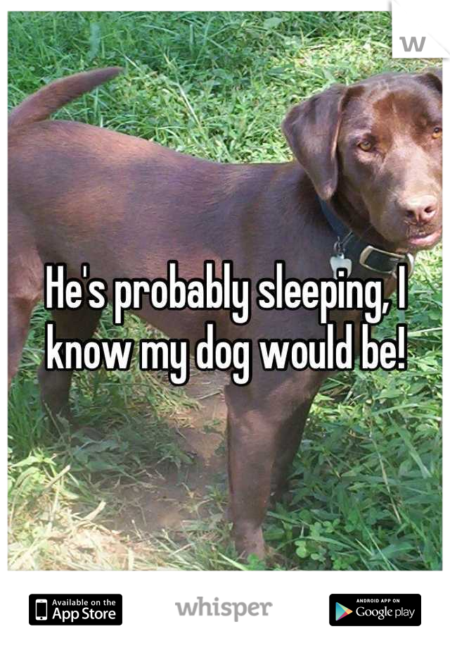He's probably sleeping, I know my dog would be!