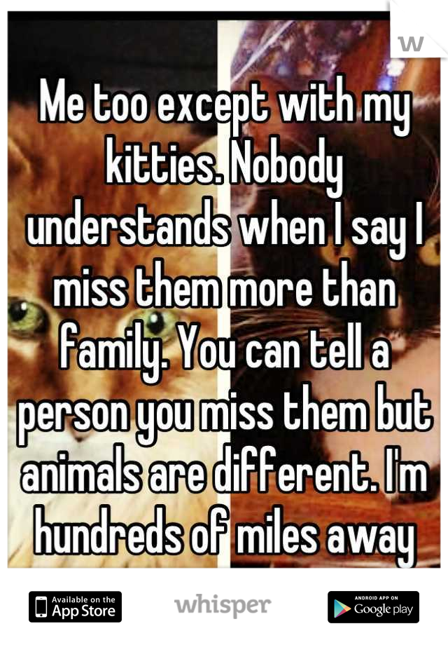 Me too except with my kitties. Nobody understands when I say I miss them more than family. You can tell a person you miss them but animals are different. I'm hundreds of miles away