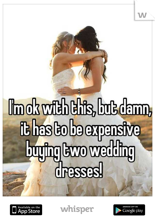 I'm ok with this, but damn, it has to be expensive buying two wedding dresses! 