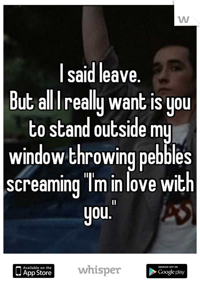 I said leave.
But all I really want is you to stand outside my window throwing pebbles screaming "I'm in love with you."