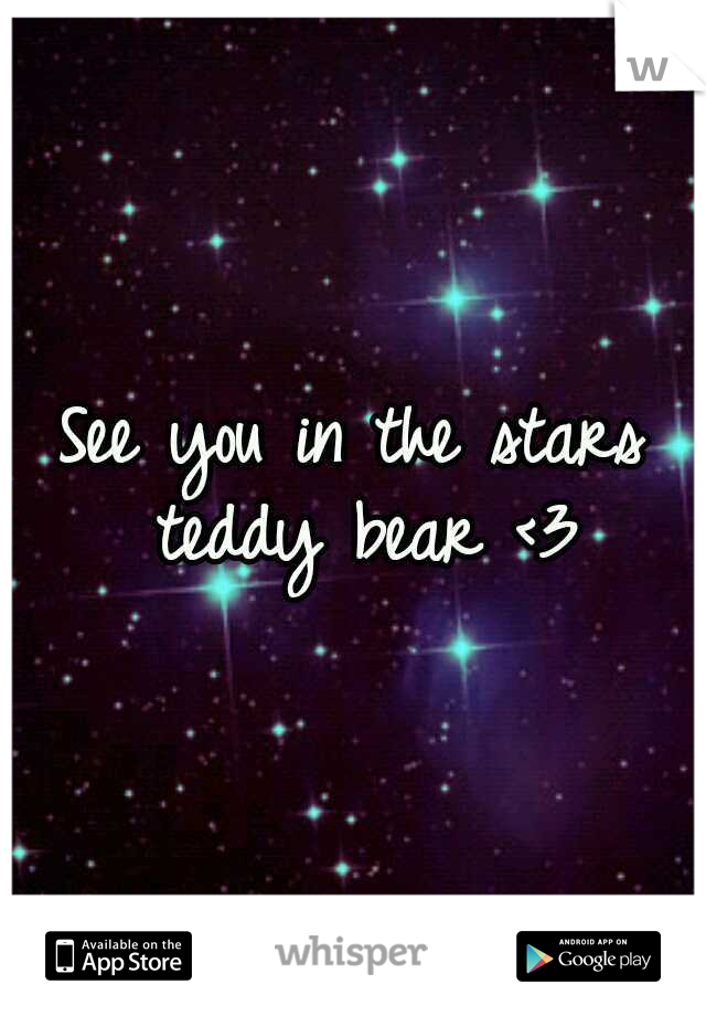 See you in the stars teddy bear <3