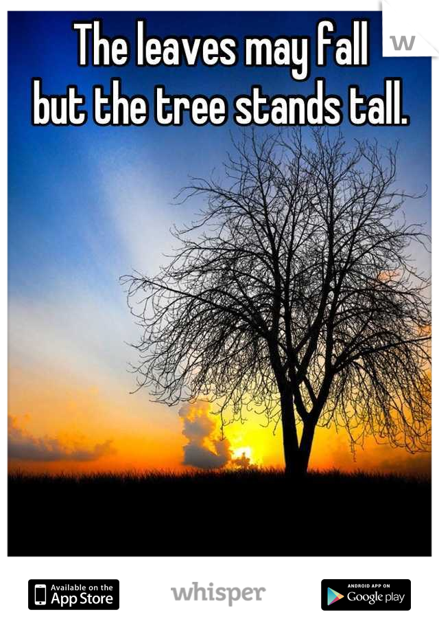 The leaves may fall
but the tree stands tall.