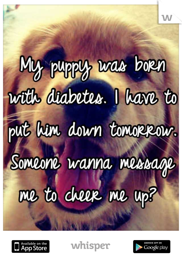 My puppy was born with diabetes. I have to put him down tomorrow. Someone wanna message me to cheer me up? 