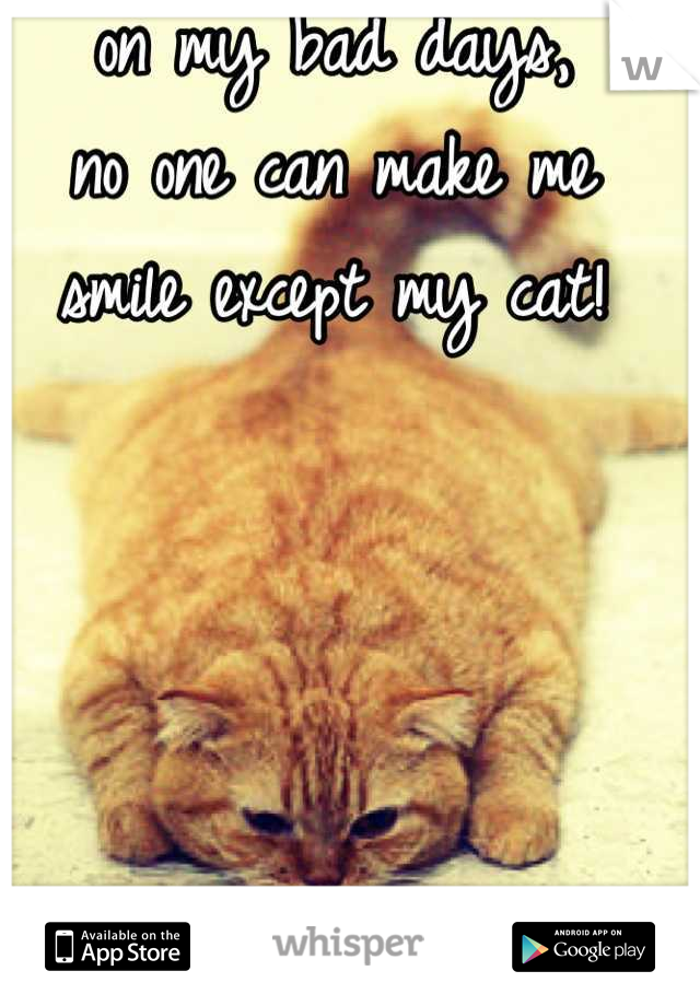 on my bad days, 
no one can make me smile except my cat!