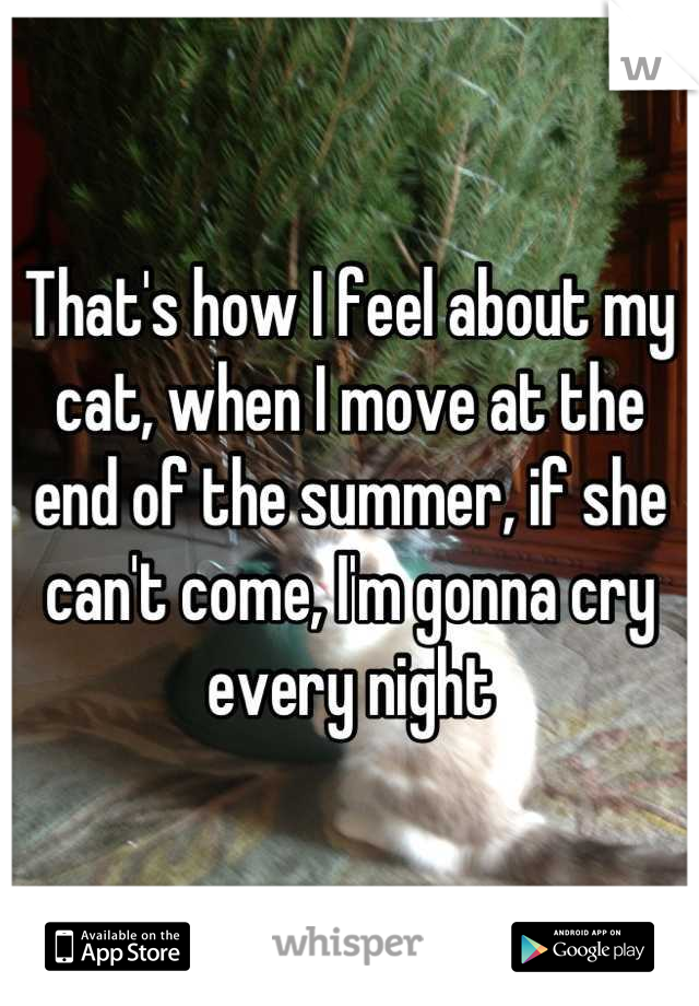 That's how I feel about my cat, when I move at the end of the summer, if she can't come, I'm gonna cry every night