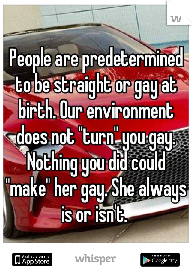 People are predetermined to be straight or gay at birth. Our environment does not "turn" you gay. Nothing you did could "make" her gay. She always is or isn't. 