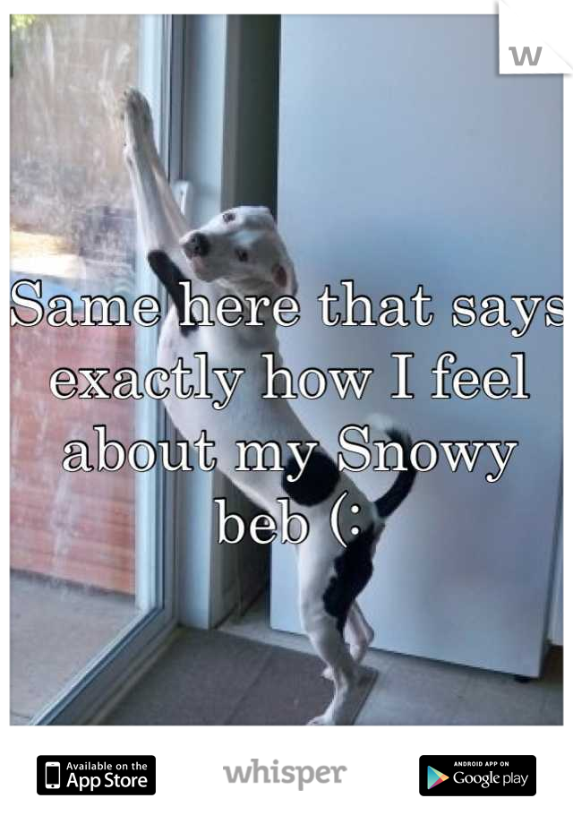 Same here that says exactly how I feel about my Snowy beb (: