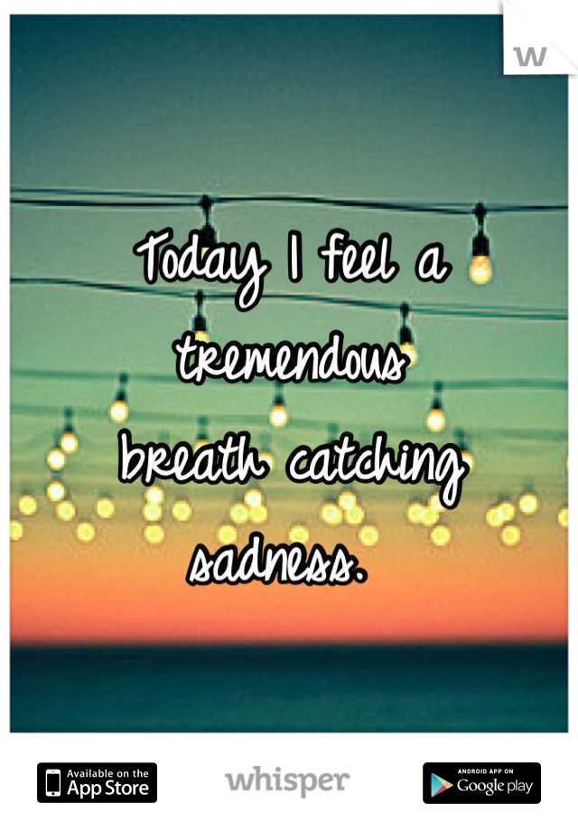Today I feel a tremendous 
breath catching 
sadness. 