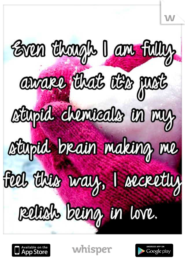 Even though I am fully aware that it's just stupid chemicals in my stupid brain making me feel this way, I secretly relish being in love. 