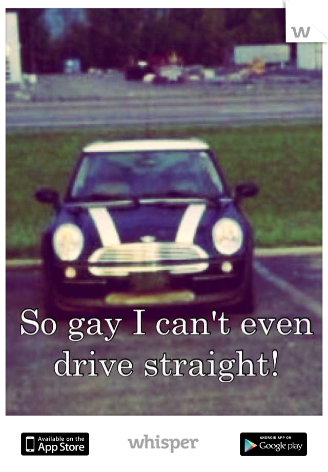 So gay I can't even drive straight!